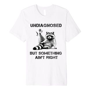 Funny Raccoon T-shirt欧美趣味搞笑浣熊潮流大码短袖T恤男女上衣