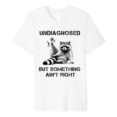Funny Raccoon T-shirt欧美趣味搞笑浣熊潮流大码短袖T恤男女上衣
