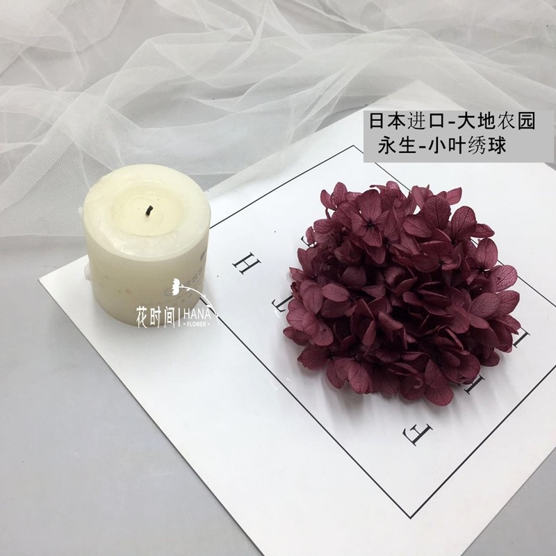 永生花紫色价格 永生花紫色图片 星期三