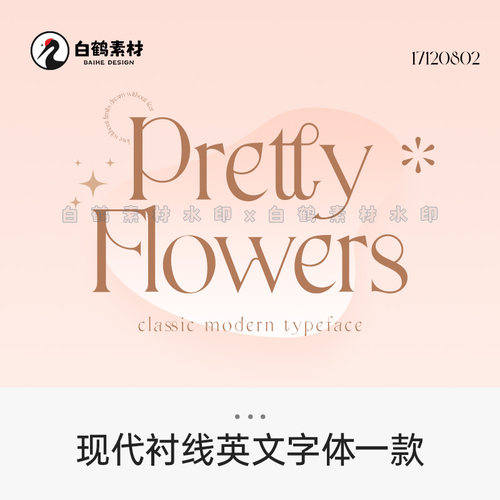 优雅英文字体包下载 轻奢精致pr fcpx procreate高级衬线风ps字库