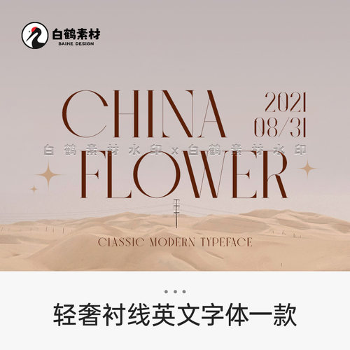 高端衬线英文字体包下载优雅精致ps pr fcpx procreate轻奢风字库
