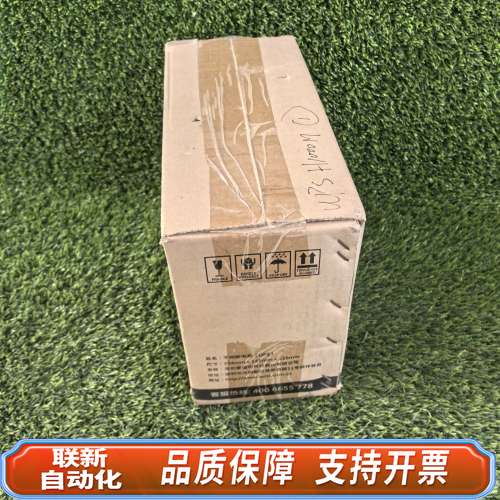 H1000M雷迪司UPS间断电源1000va,600w