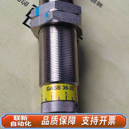 GS气体缓冲器GASB 36-25精品，