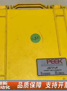 POLYSONICS式超声波流量计 ISTT-P，成