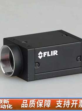 灰点FLIR GS3-U3-120S6C-C 彩色CCD 工