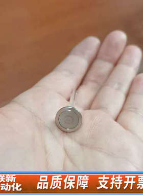 联新设备赛默飞：离子色谱ICS3000/5000柱塞杆  ，