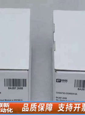 联新设备GSEE TECH吉诺模块GASI67SG-DO8