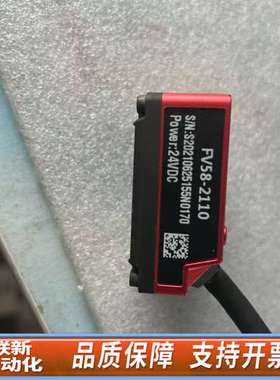 INFOSCAN 读码器 FV58-2110，轻微使用痕迹，