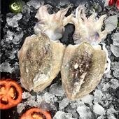 舟山东海深海墨鱼大乌贼新鲜冷冻目鱼鲜活乌贼章鱼冰鲜海鲜 包邮