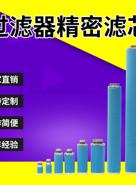 Ultrafilter德国超滤替代滤芯PE SB FF MF SMF AK10 15 20 30 30