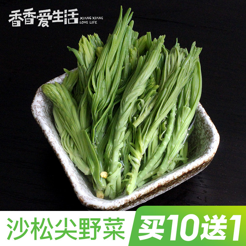 云南特色食材酒店半成品保鲜蔬菜新鲜沙松尖野菜食用凤尾花私房菜