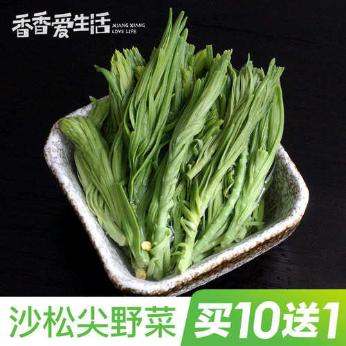 保鲜沙松凤尾花私房菜特色食材