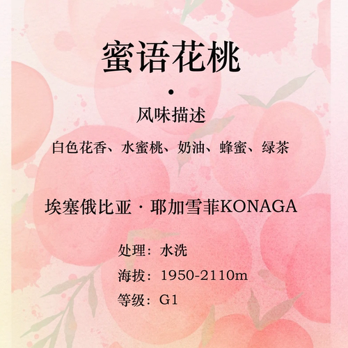 埃塞俄比亚 G1水洗 蜜语花桃咖啡豆 手冲意式精选 挂耳咖啡 现烘