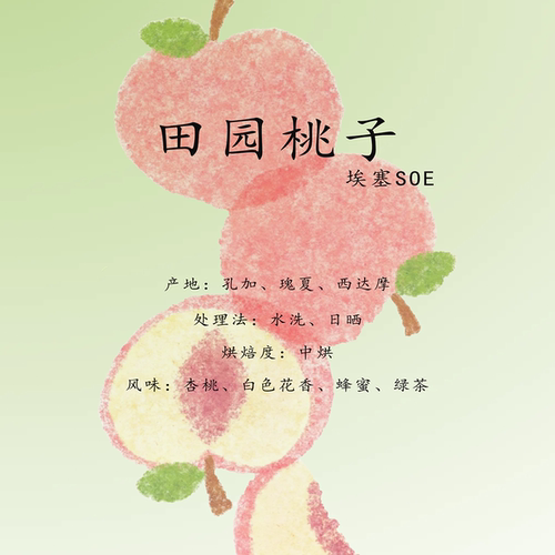 埃塞俄比亚SOE咖啡豆 田园桃子 意式精选咖啡豆 高品质 咖啡豆