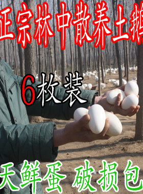 土鹅蛋鹅蛋现捡发货破损包赔