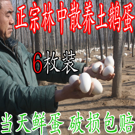 新鲜大鹅蛋正宗鹅蛋天然原生态散养当天现捡农家土鹅蛋孕妇绿色批