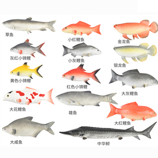 仿真鱼模型塑料金枪鱼假鱼红鲤鱼金龙鱼摆设道具海洋动物儿童玩具