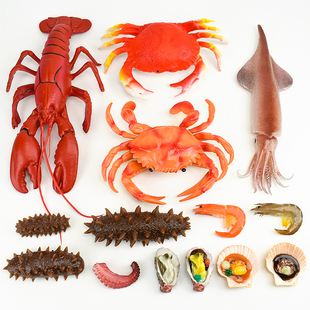 仿真龙虾螃蟹假海参鱿鱼火锅模型烧烤食物摆件配件道具儿童玩具