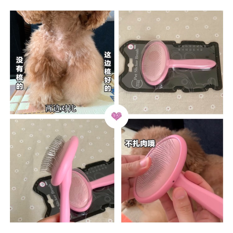 艾尔瑞宠物拉毛针梳卷毛长毛犬