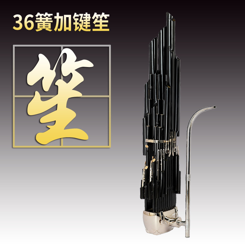新艺专业36簧高音加键扩音笙乐器三十六簧笙天然紫竹专业演奏型