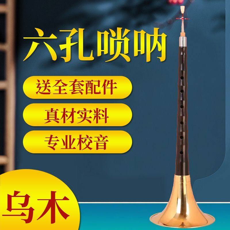乌木六孔唢呐6孔唢呐降B调D调初学者专用笛子唢呐喇叭送哨片气盘