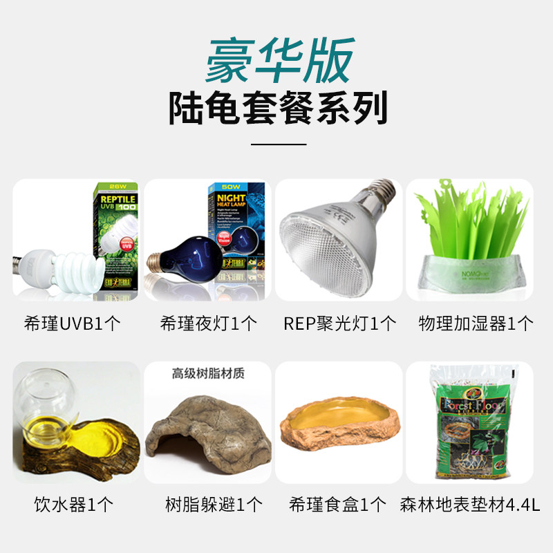 爬虫陆龟鬃狮蜥蜴守宫角蛙刺猬保爬宠缸/箱