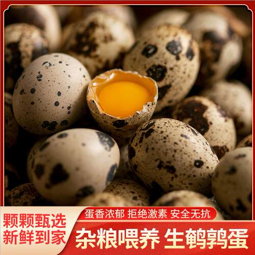 60枚鹌鹑蛋精品杂粮喂养新鲜火锅