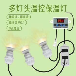 芦丁鸡保温灯卢丁鸡取暖灯专用养殖用品灯泡小鸡孵化灯育雏畜牧灯