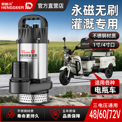 无刷直流潜水泵48v60v72v