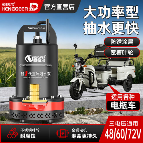 恒格尔12V直流潜水泵大功率抽水