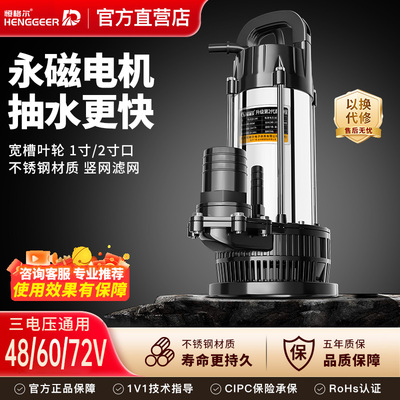 电动车电瓶车专用灌溉直流潜水泵
