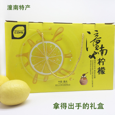 重庆潼南特产汇达柠檬即食礼盒