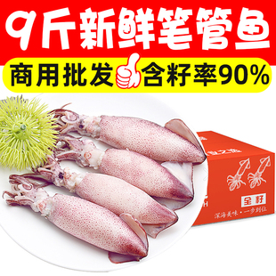 9斤新鲜笔管鱼海鲜水产海兔子冷冻鱿鱼仔笔管鱼海鲜速冻整箱发货