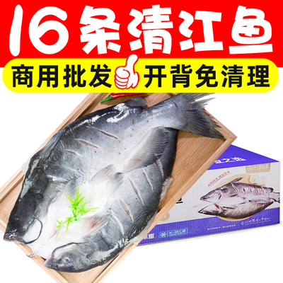 开背清江鱼冷冻半成品腌制清江回鱼江团鮰鱼烤鱼店食材商用批发