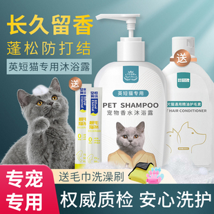 英短银渐层蓝猫专用猫咪沐浴露杀菌除螨洗澡用品大全宠物沐浴液