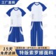 套装 东莞大朗小学校服公立公办统一夏装 长裤 t恤短裤 男女圆领短袖