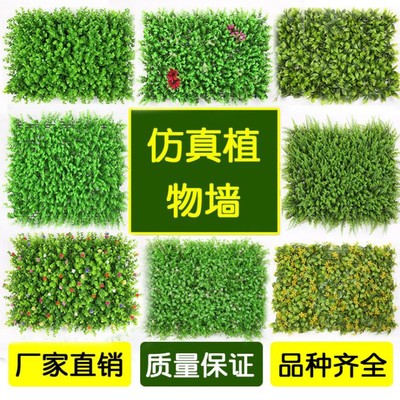 室内外绿色立体壁挂背景植物墙