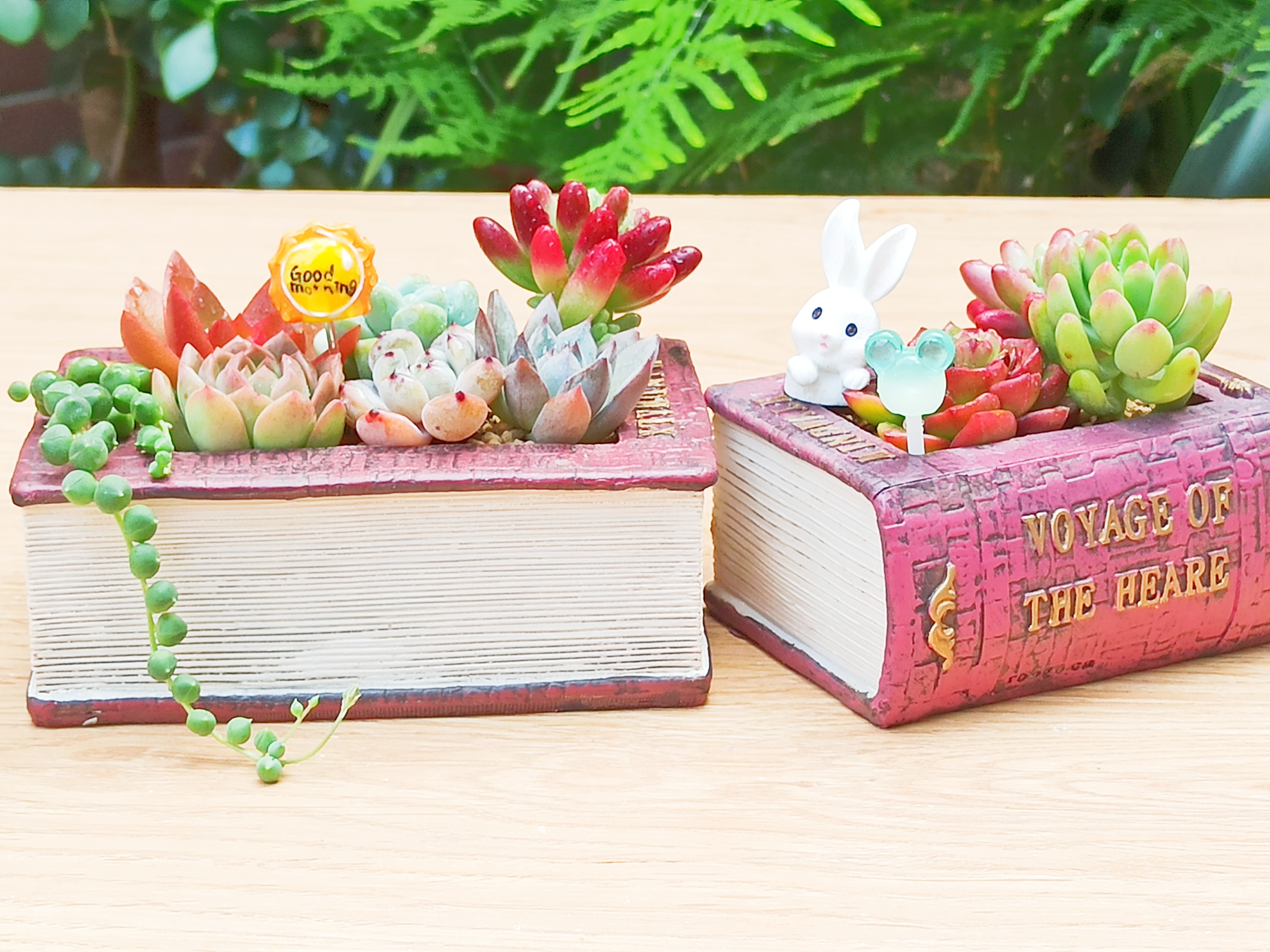 创意欧式复古多肉小花盆复古文学书本个性多肉花器盆栽送朋友礼物