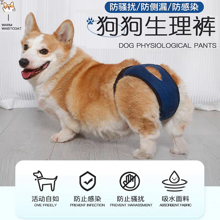 宠物狗狗生理裤柯基博美比熊母狗月经裤姨妈裤卫生裤防骚扰安全裤