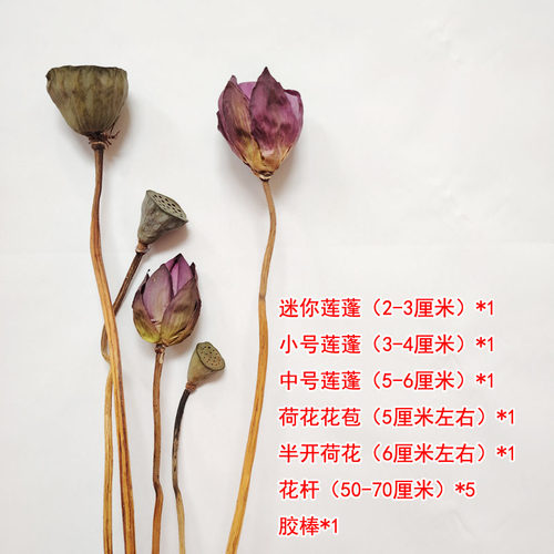 天然干花原生态真花真杆真叶