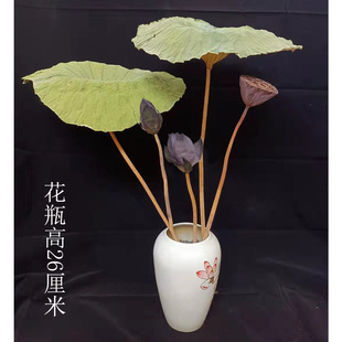 饰莲蓬真荷花苞木莲花天然原杆插花客厅摆设家居拍摄花束 干花束装