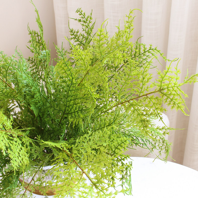 把束绿草仿真植物配草假绿植装饰摆件家居摆设文竹波斯叶室内插花