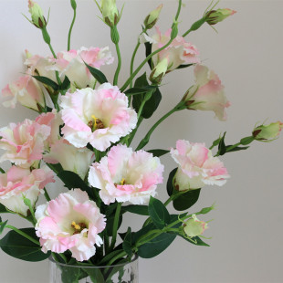 洋桔梗仿真花客厅装饰摆件餐桌摆设假花花束绢花插花花艺家居饰品