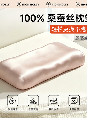 真丝深睡枕套100%桑蚕丝罗零压莱乳胶记忆棉亚朵pro3专用枕头笠