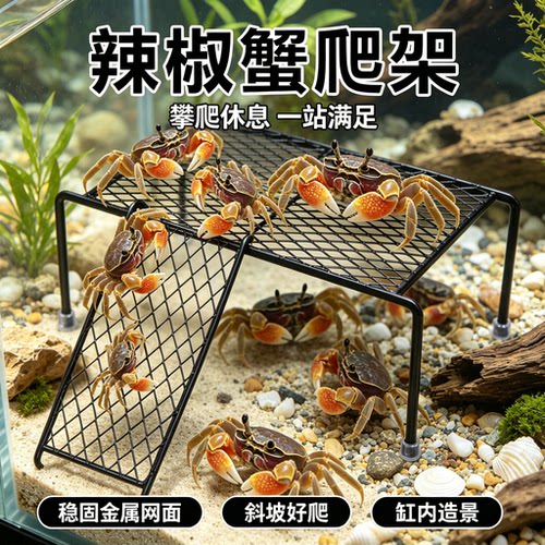 辣椒蟹专用爬台爬架铁不发霉躲避小型爬宠攀爬玩具饲养缸箱造景