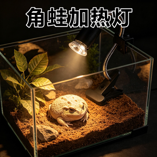 角蛙专用晒背灯爬宠太阳灯蜥蜴uva补钙保温加热uvb灯泡照明光谱