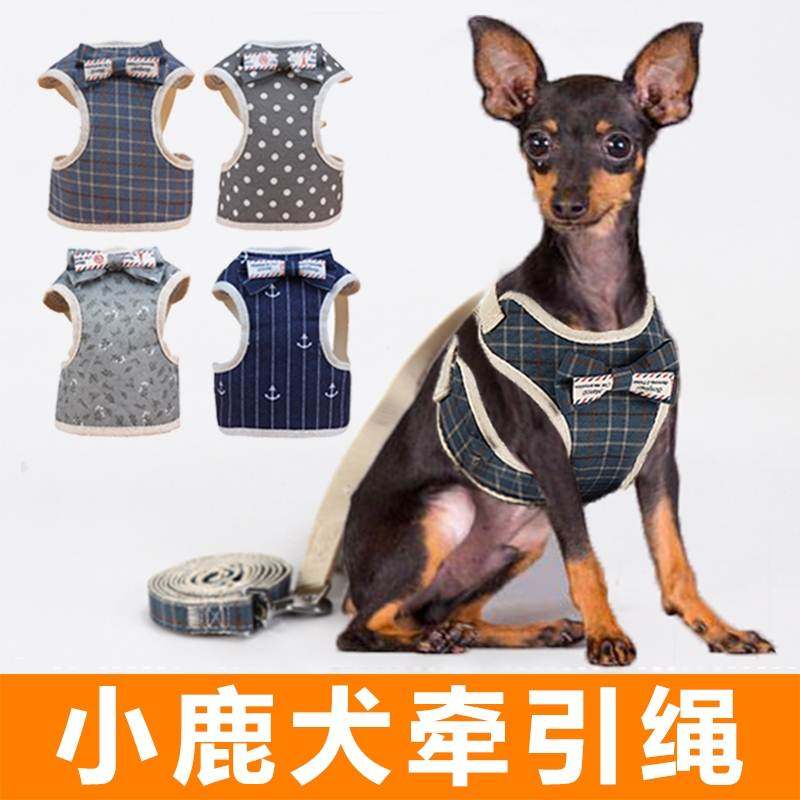 小鹿犬专用牵引绳狗幼背心