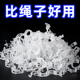 绿植果树植物固定夹卡扣藤蔓固定器秧苗爬藤支撑杆果蔬秧苗吊秧夹