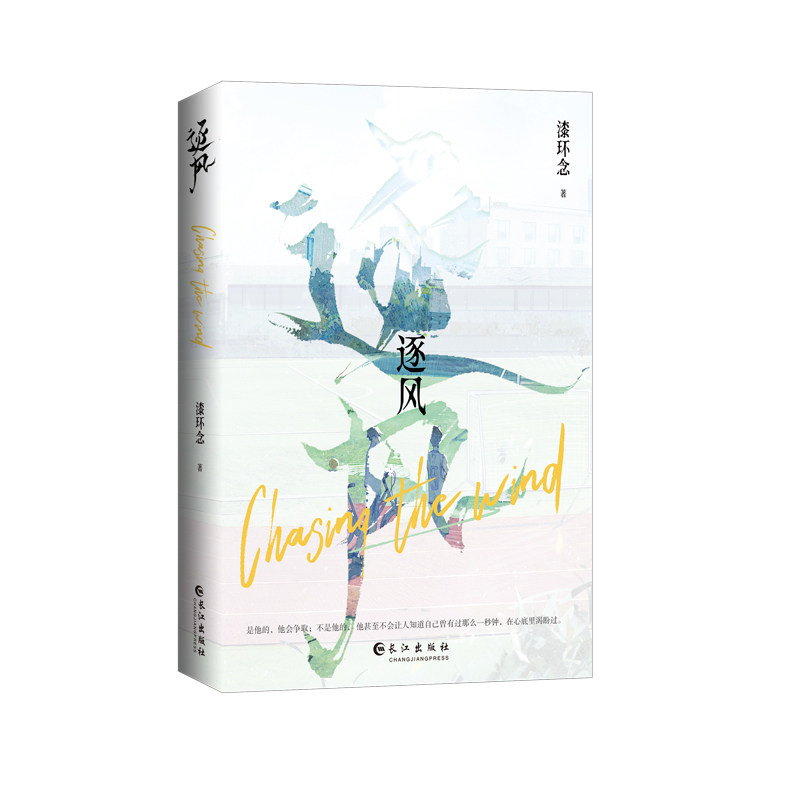 逐风 晋江文学城漆环念青春校园系力作 城南系真霸道VS头脑派太财迷校园篮球队争霸不可回避的青春故事一部校园系青春小说