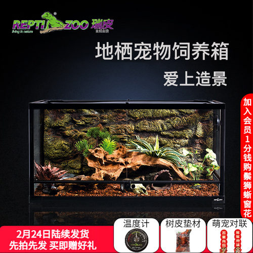 reptizoo爬宠饲养箱鬃狮蜥蜴